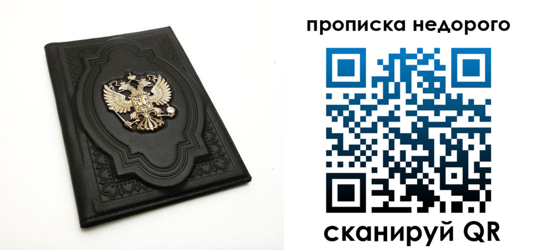 прописка для школы в Владимирской области
